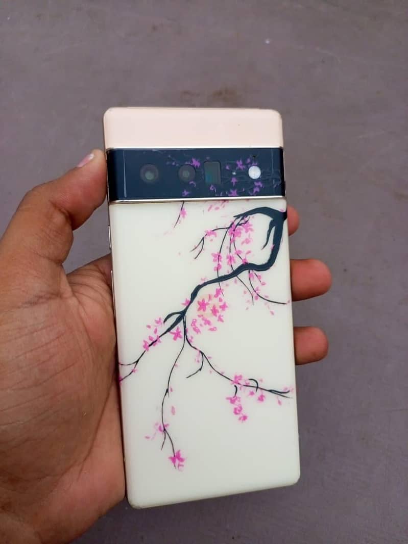 Google Pixel 6 Pro 0