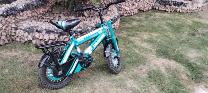 Chinese Cycle