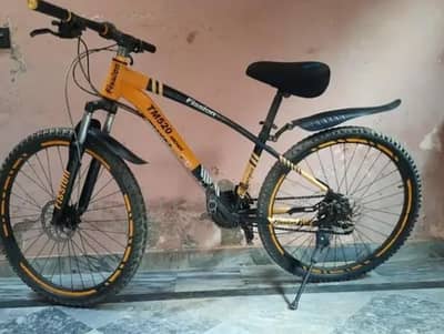 Best Mountain Bicycle For Adults