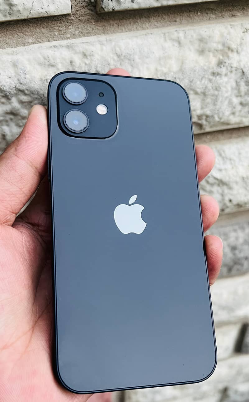 Apple iPhone 12 1