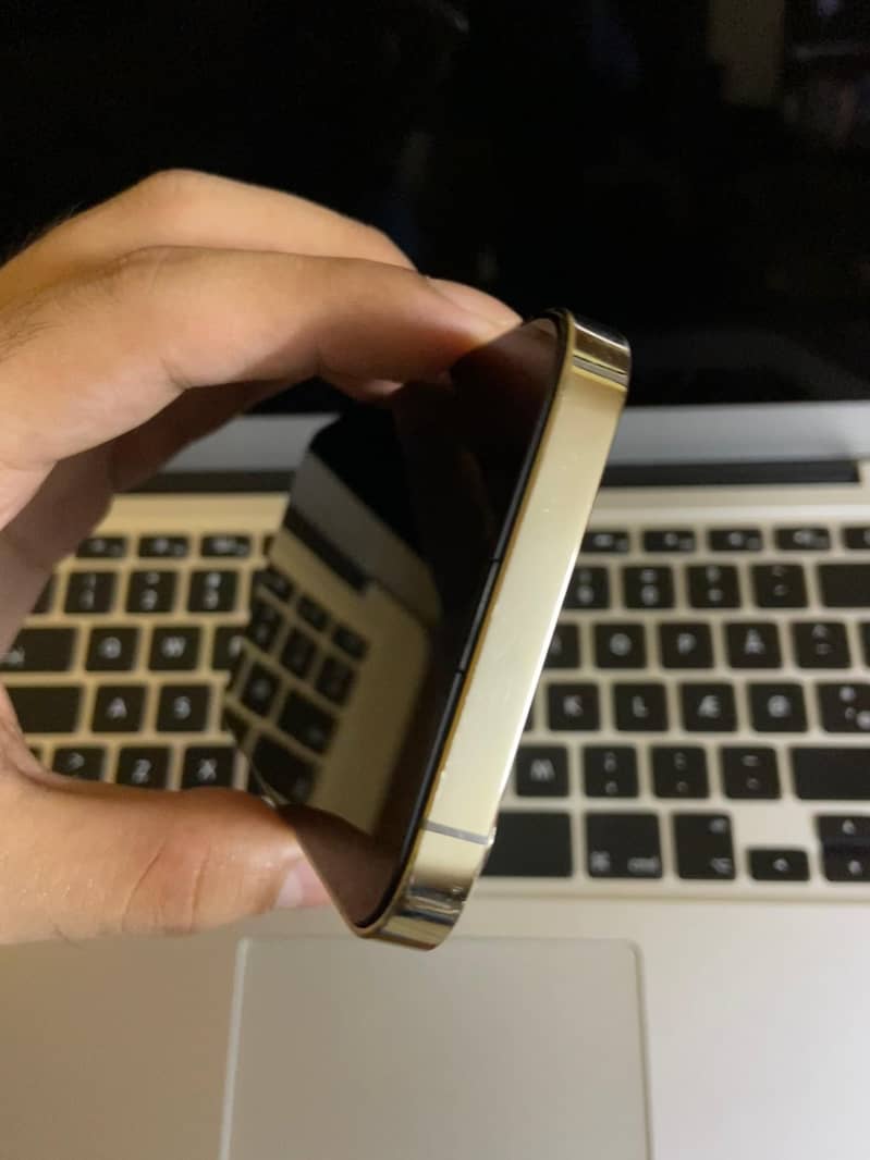 Apple iPhone 13 Pro 1