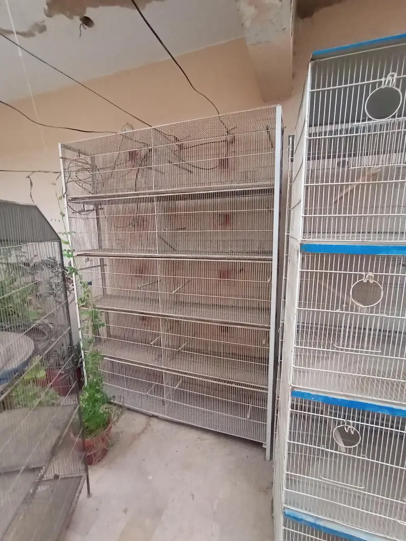 cages for sale — photo 5