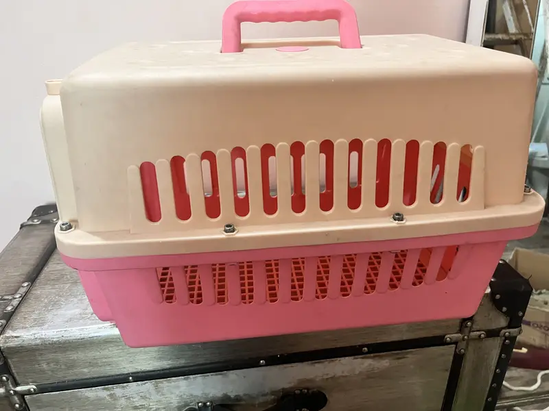 Cat carrier — photo 2