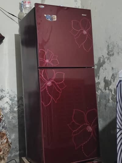 ORIENT GLASS DOOR REFRIGERATOR