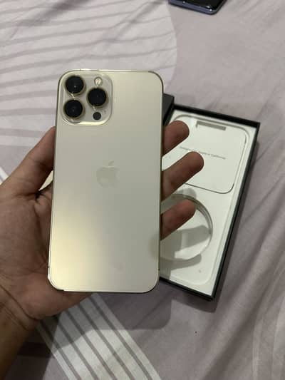 Apple iPhone 13 Pro Max