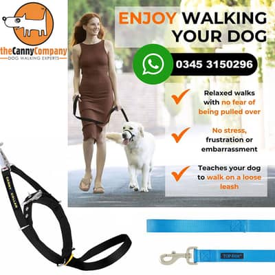 Canny Dog Collar