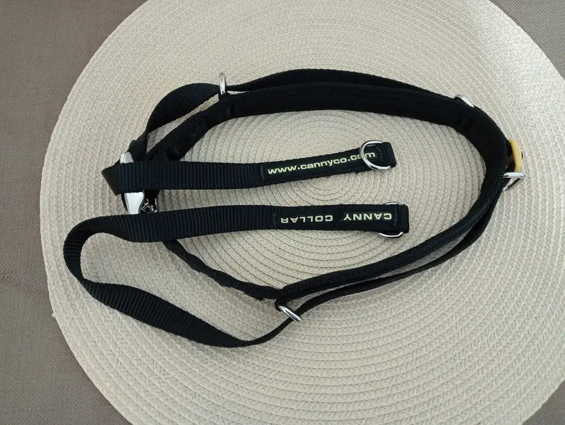 Canny Dog Collar — photo 6