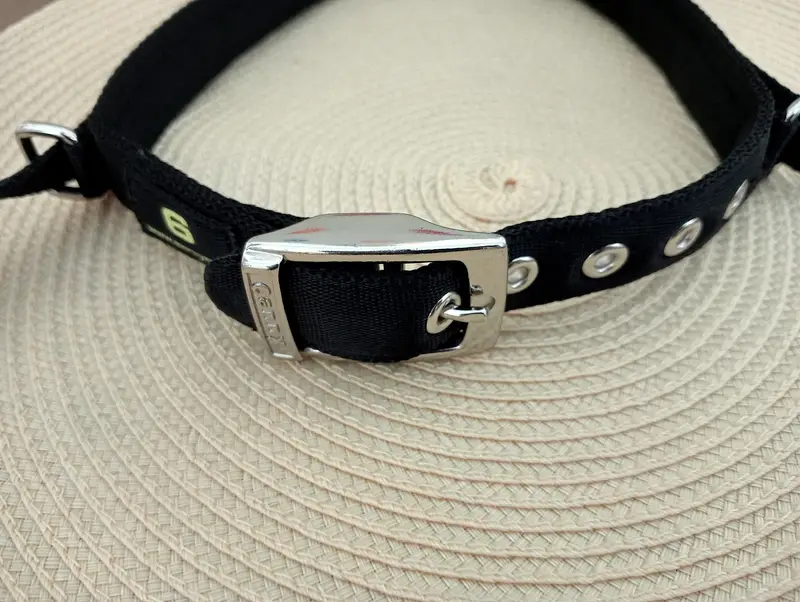 Canny Dog Collar — photo 7
