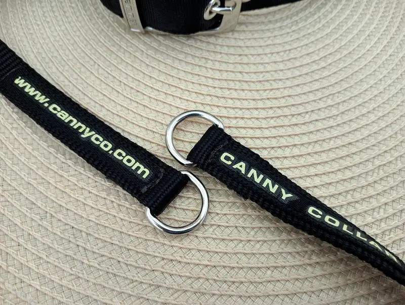 Canny Dog Collar — photo 8