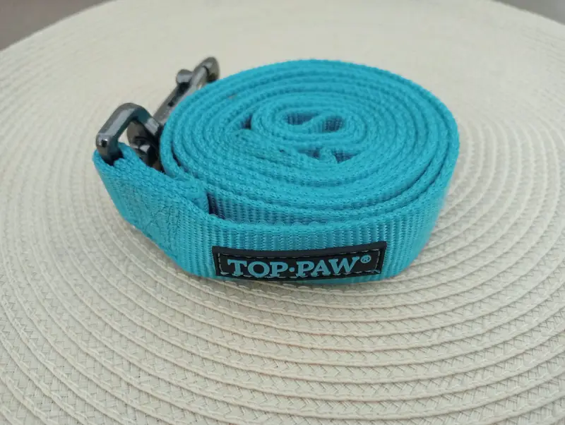 Canny Dog Collar — photo 12
