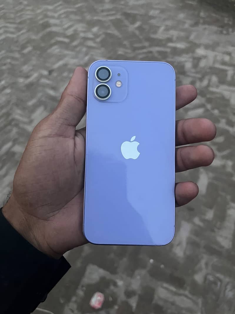 Apple iPhone 12 1