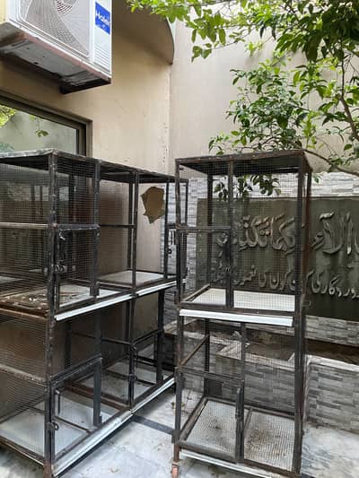 Birds cages