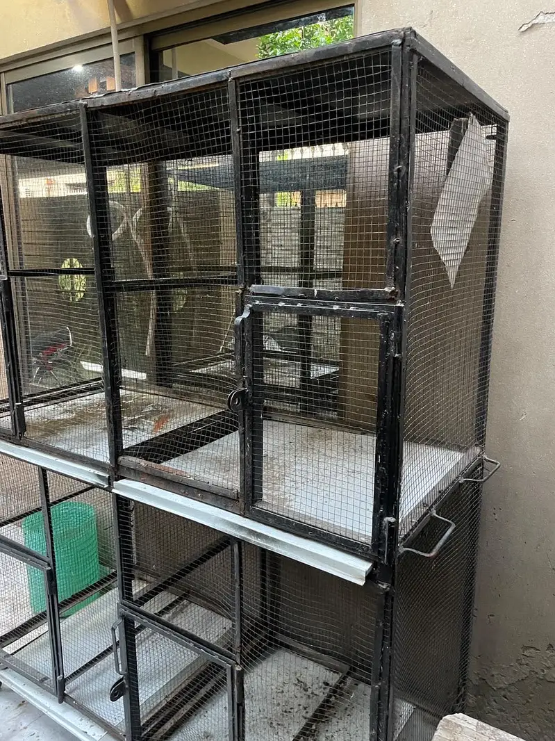 Birds cages — photo 2