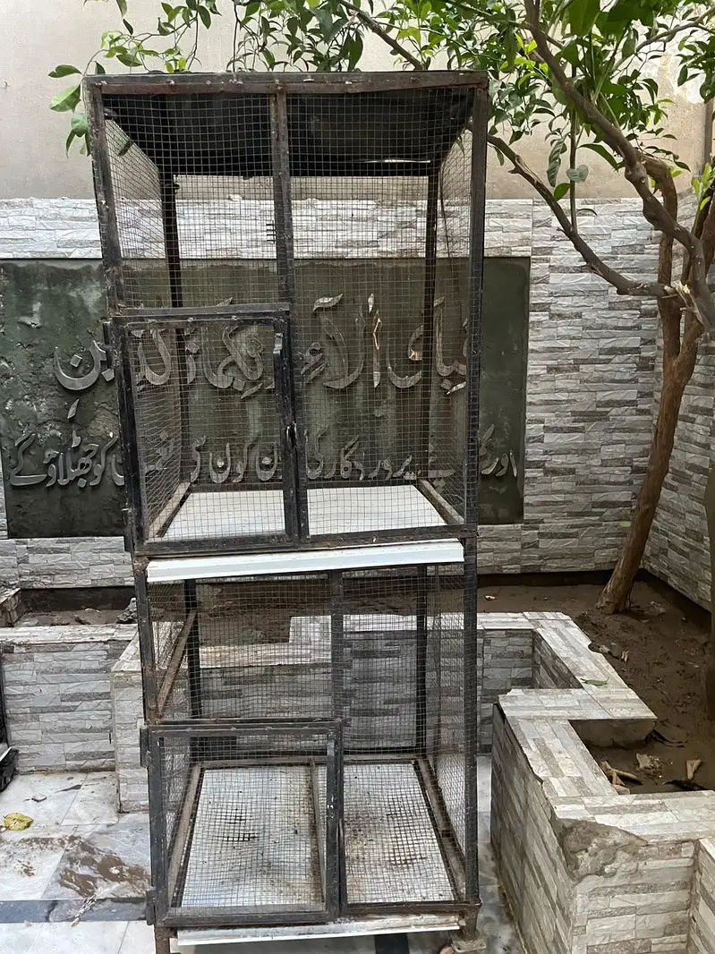 Birds cages — photo 3