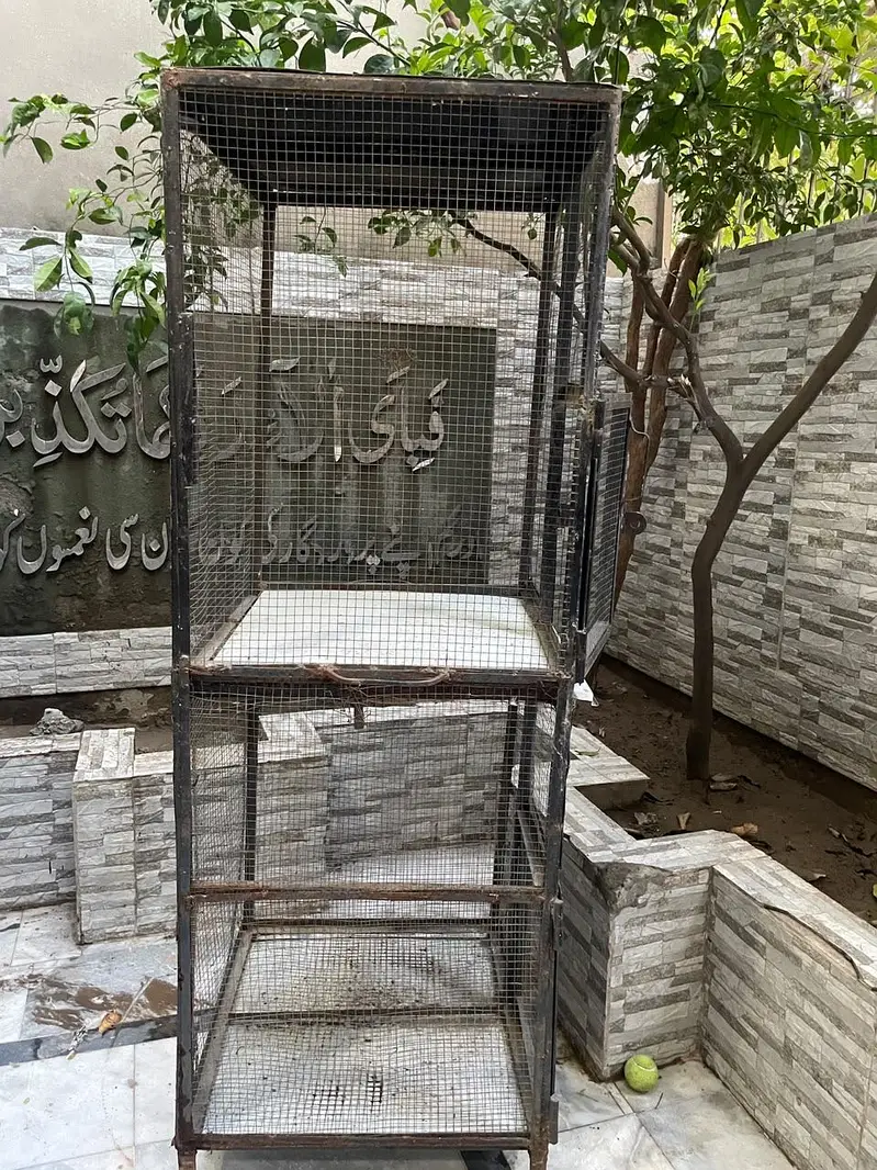 Birds cages — photo 4