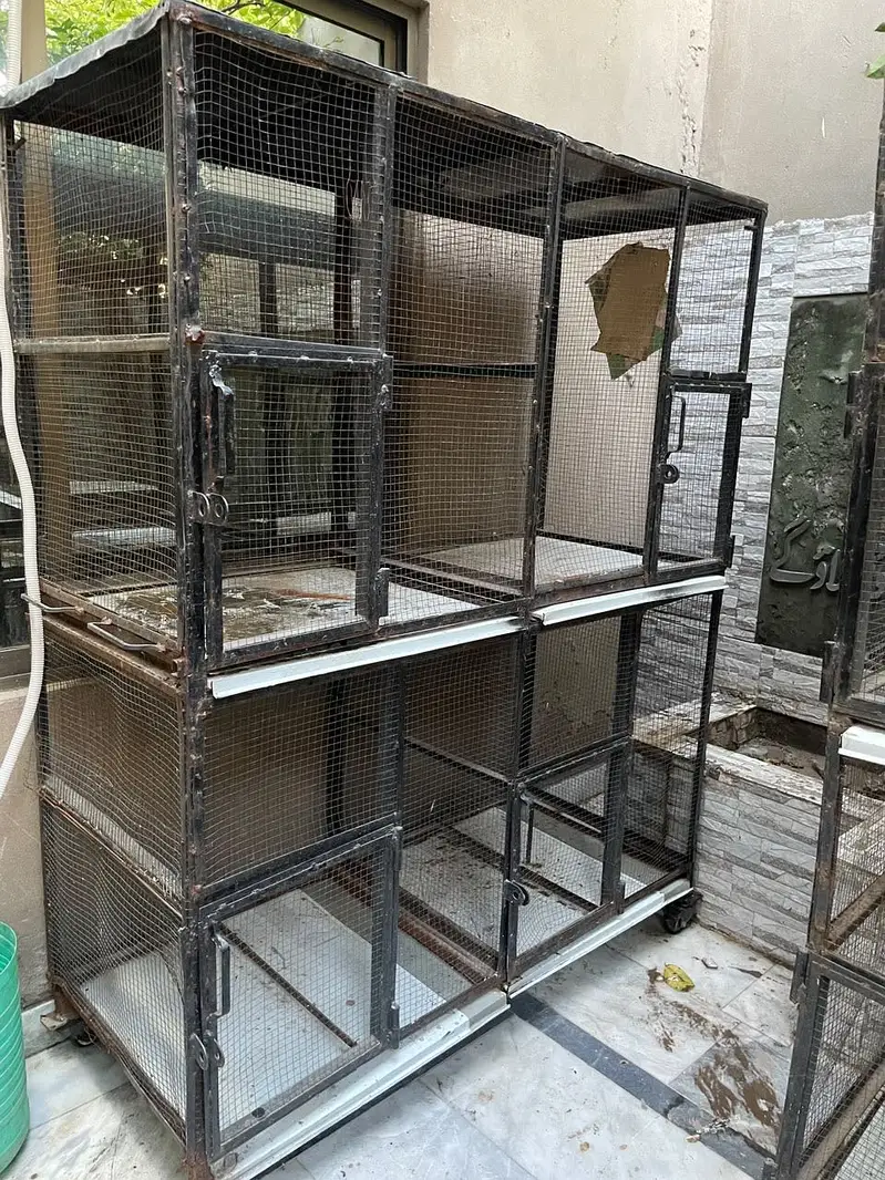 Birds cages — photo 7