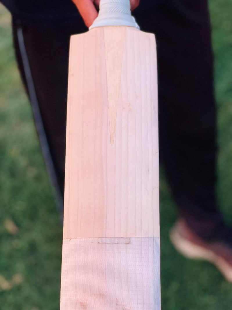 useable bat 1