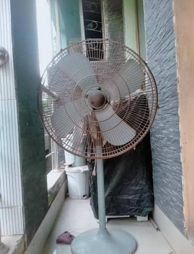pedestal fan for sale