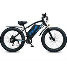 Electric Cycle 1