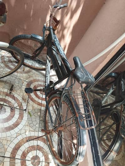 26 inches bicycles for sale