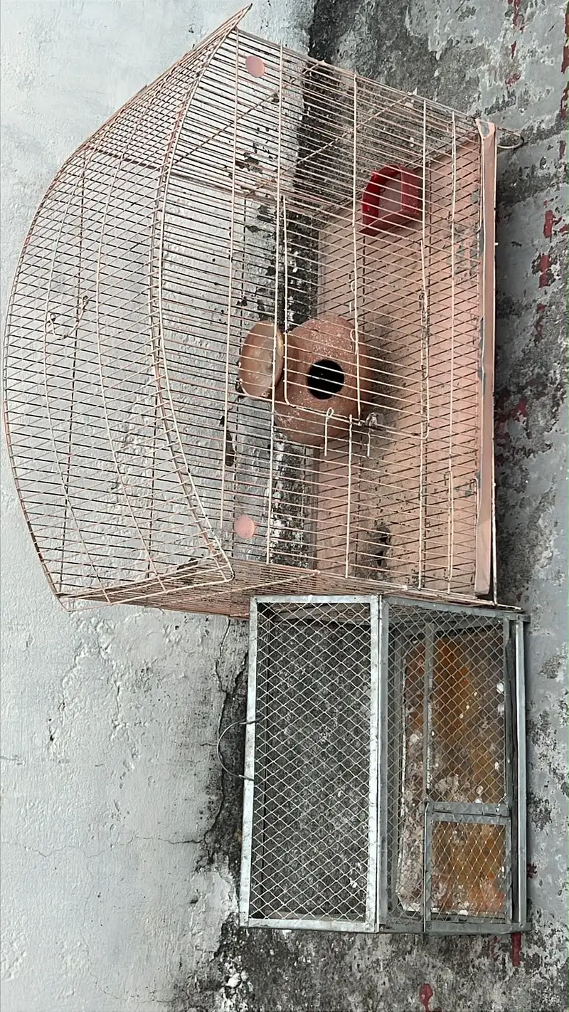 2 Cages selling — photo 2
