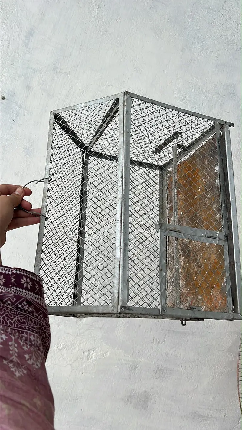 2 Cages selling — photo 3