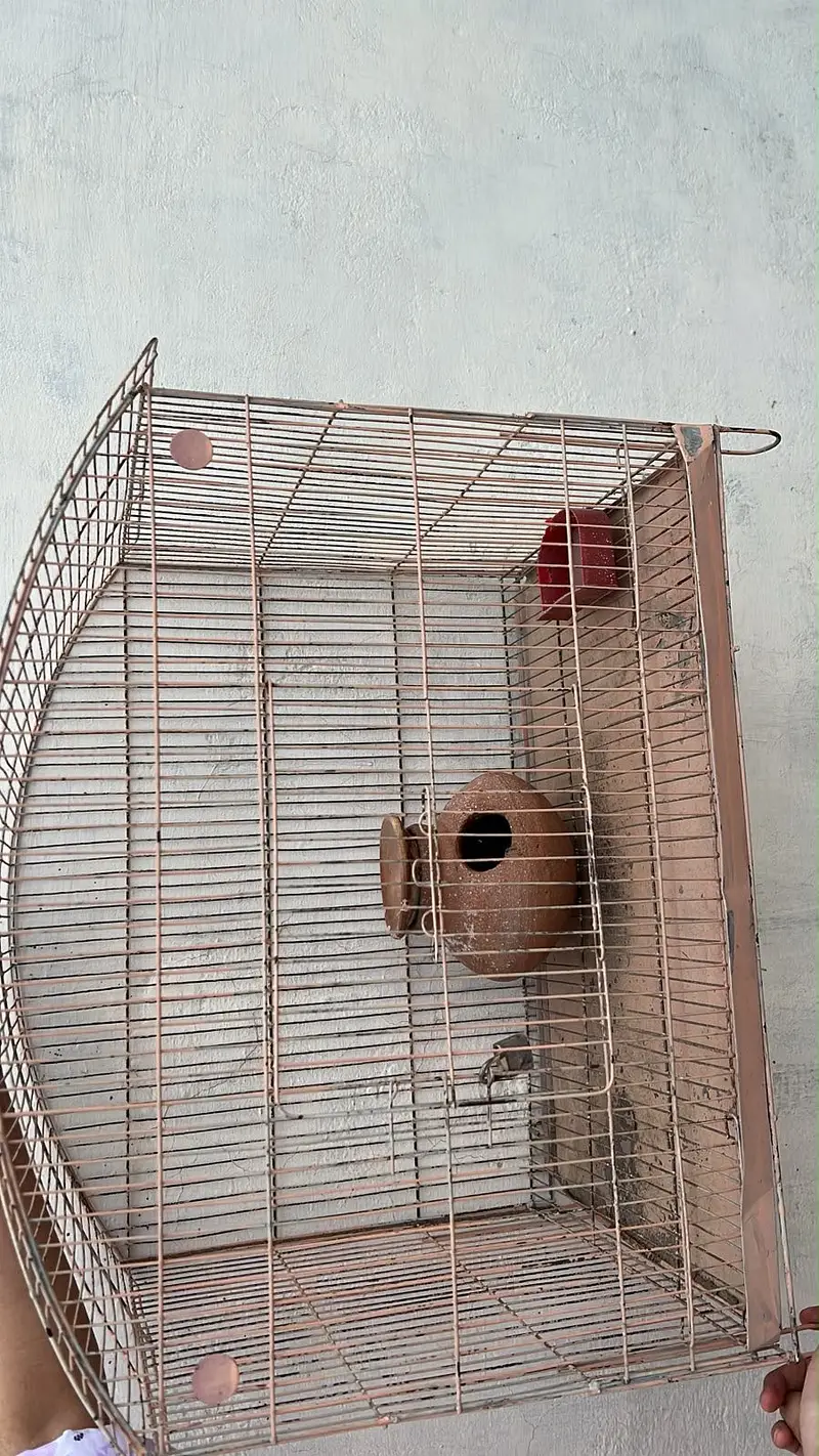 2 Cages selling — photo 4