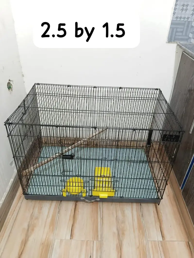 love birds and 1 folding cage — photo 2