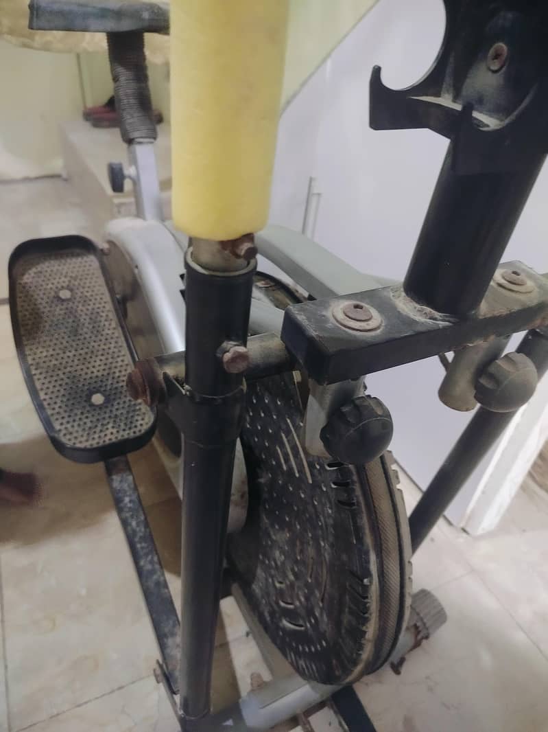 exercise cycle 3
