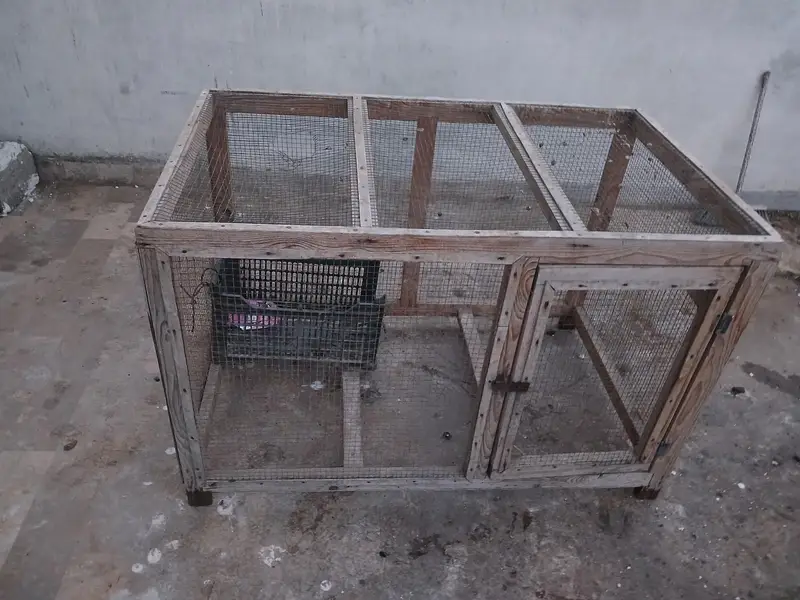 Pinjra / hen cage / birds cage available for sale — photo 2