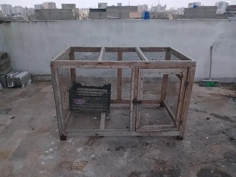 Pinjra / hen cage / birds cage available for sale — photo 3