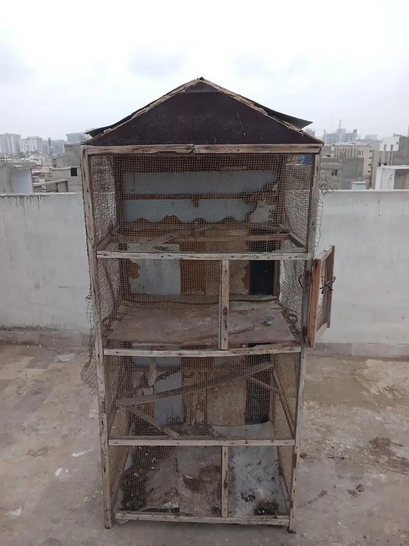 Pinjra / hen cage / birds cage available for sale — photo 4