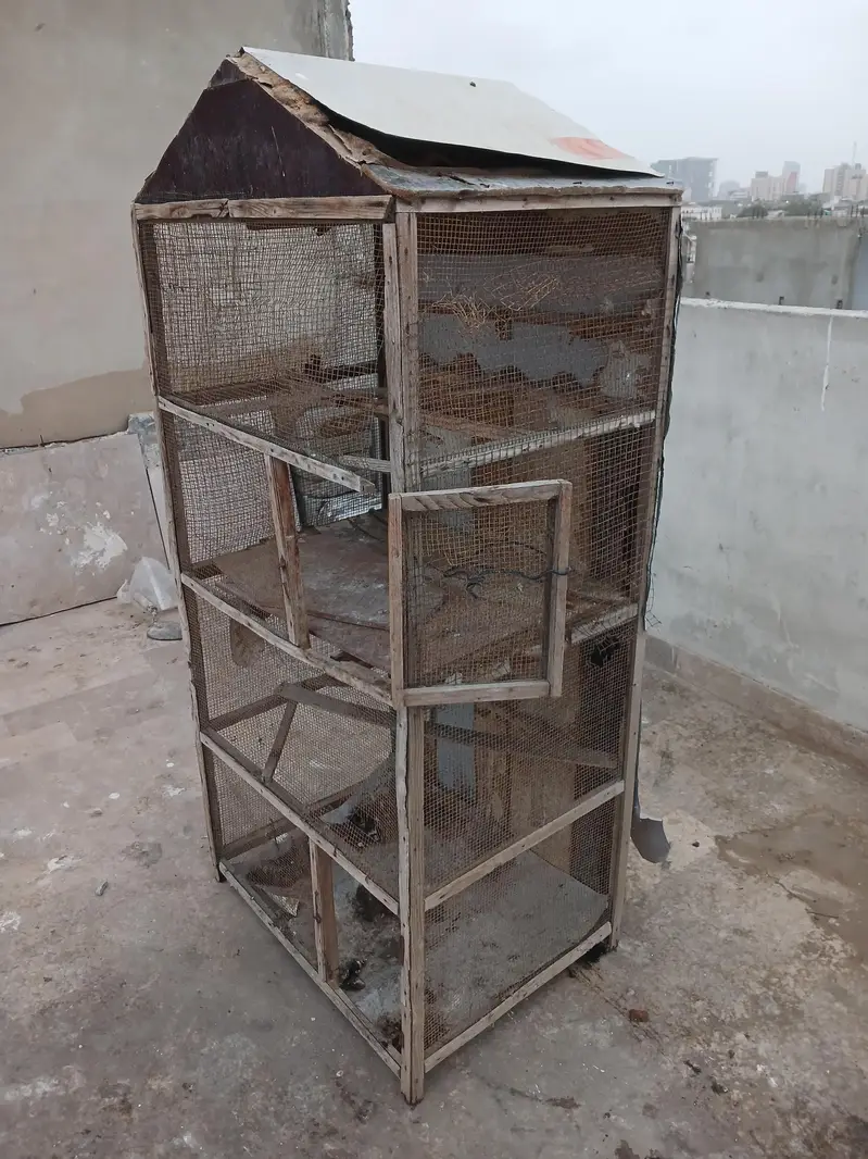 Pinjra / hen cage / birds cage available for sale — photo 6
