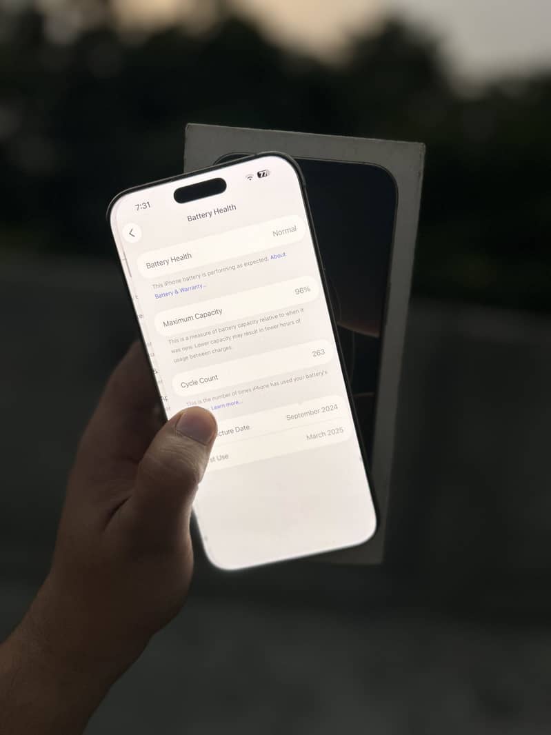 Apple iPhone 16 Pro Max 1