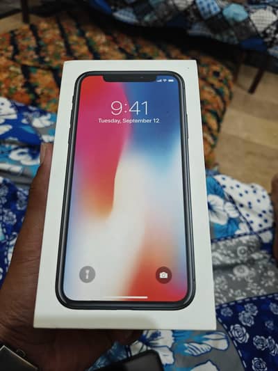 Apple iPhone X