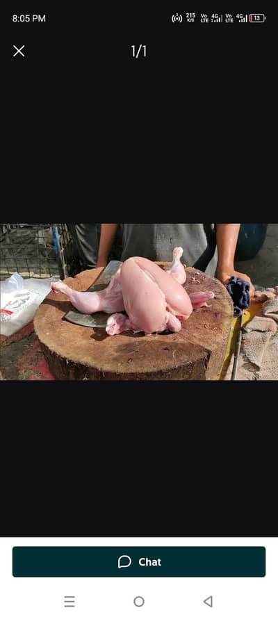 Chicken zibah ki ki urgent zarorat ha