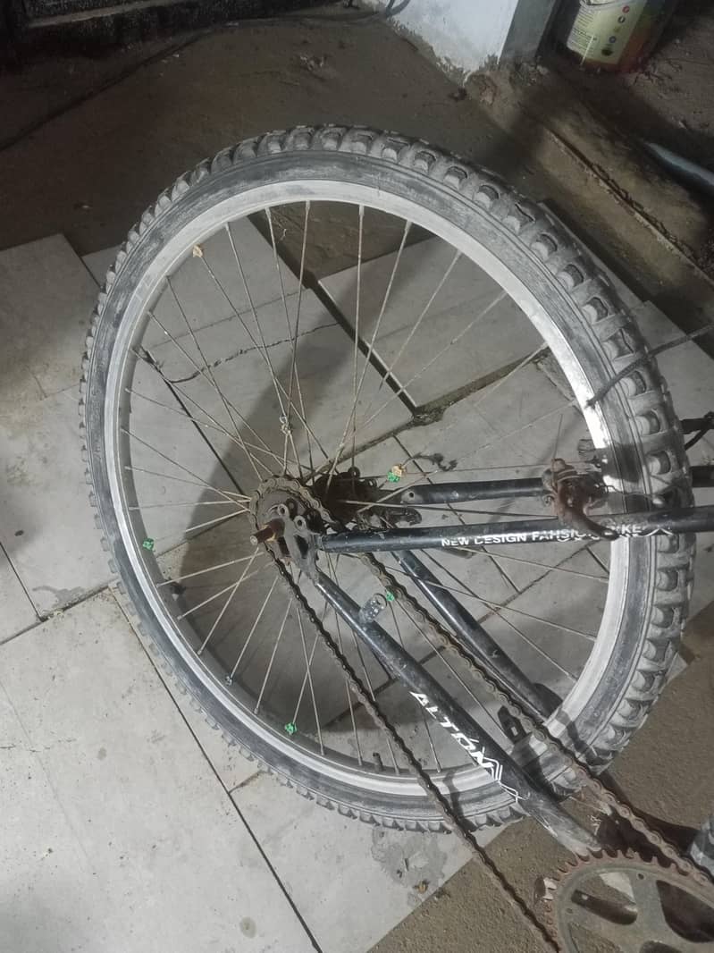 Cycle 3