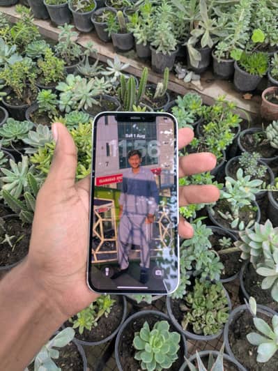 Apple iPhone 12 Pro
