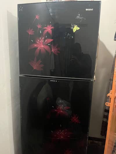 Orient Glass Double Door Refrigerator
