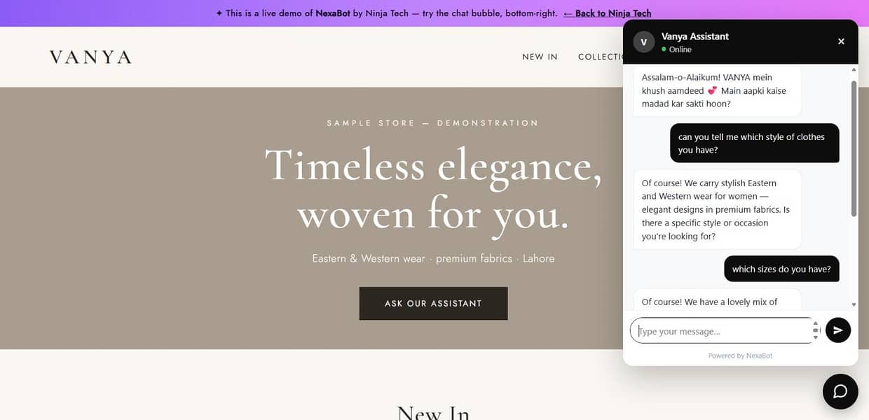 Website Development, E-commerce & AI Chatbots 4