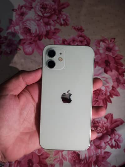 Apple iPhone 12