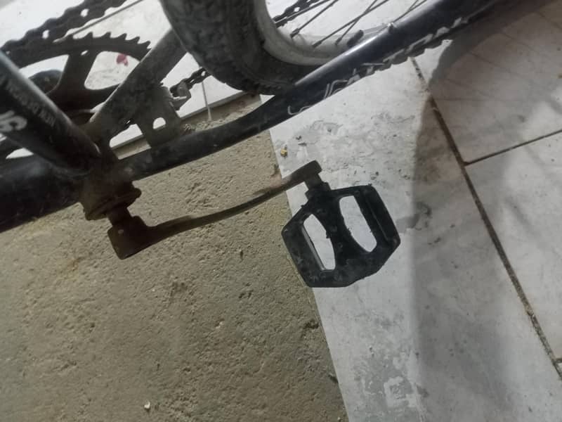 cycle 6