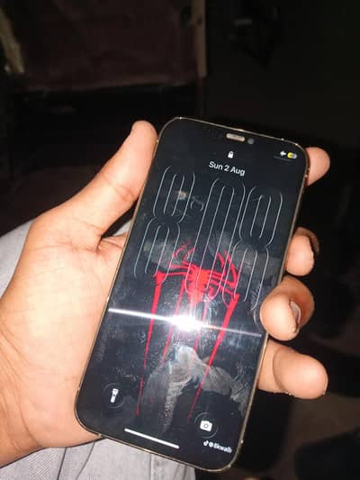 Apple iPhone 12 Pro