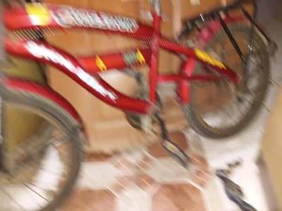 cycle for sale