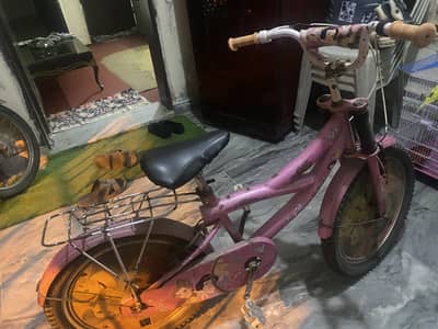 For Urgent sale!