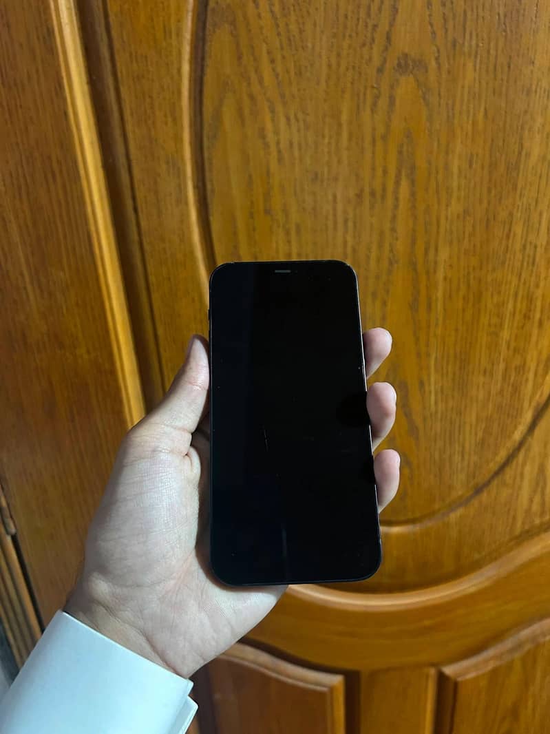 Apple iPhone 12 1