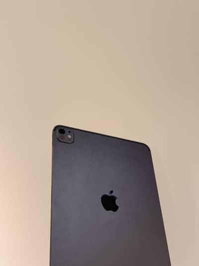 IPad Pro M5 11 inch 10/10