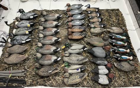 32 Ducks Hunting Decoy Full set, Original Imported