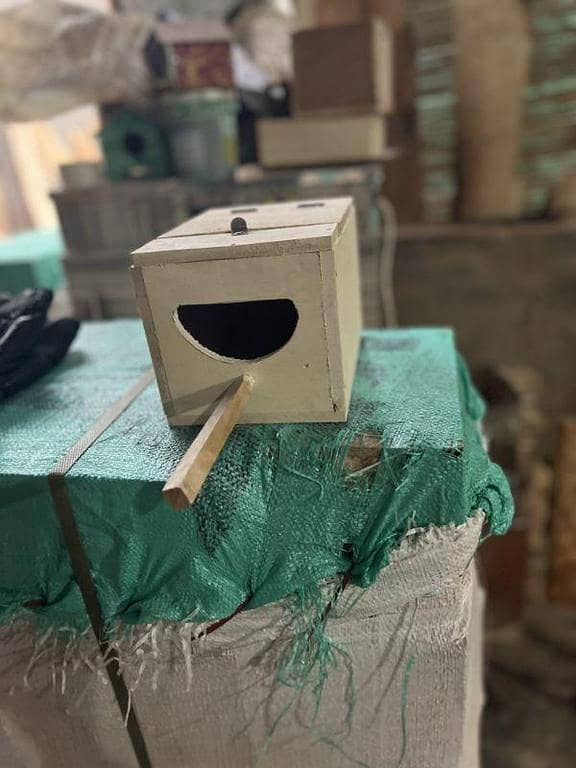 Breeding box for jawa and finch in mango wood. 8x6x6