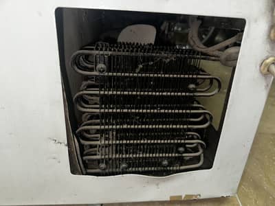 Waves Trplet Refrigerator W-T 113